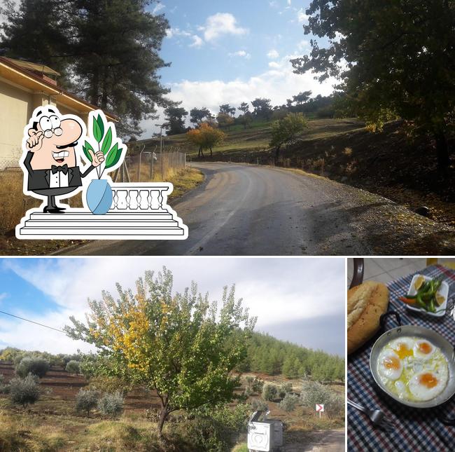 Kozalak Restaurant
