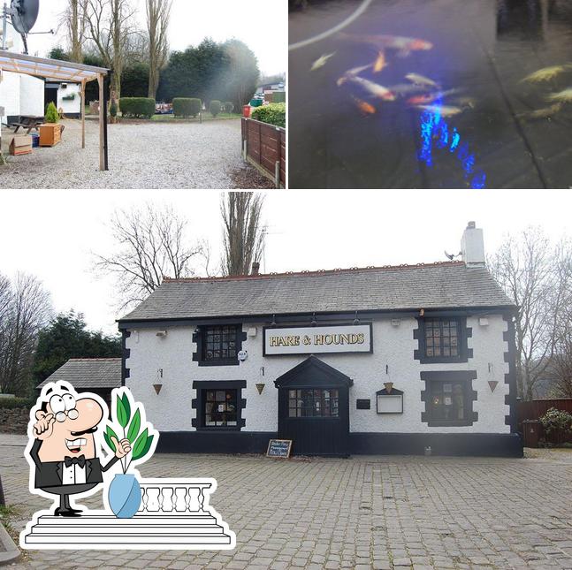 The hare & hounds