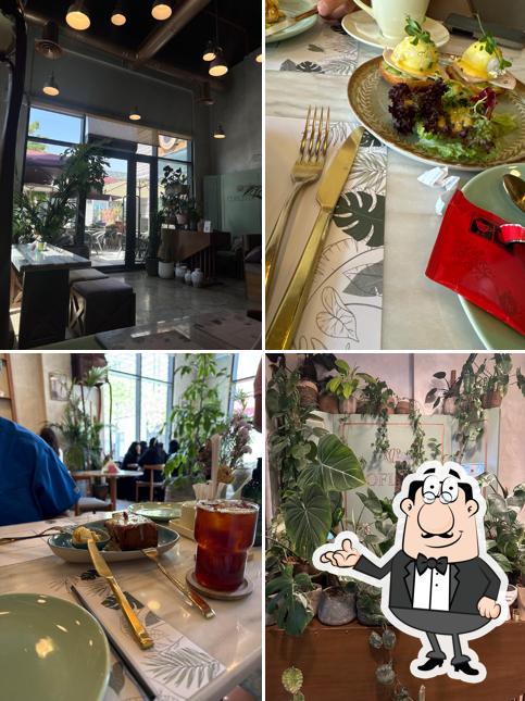 Maison De Cofleur ميزون دو كوفلير