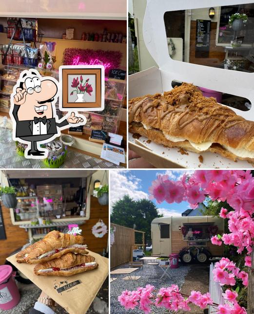 Bloom & Graze Station Deli Ltd