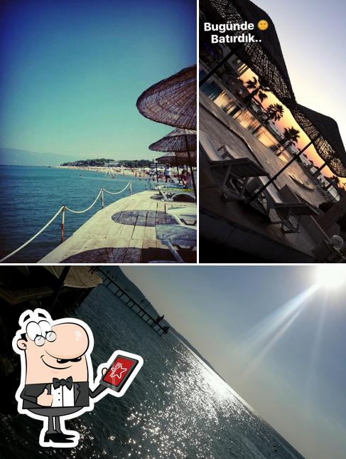 Artemis Plaj Bar