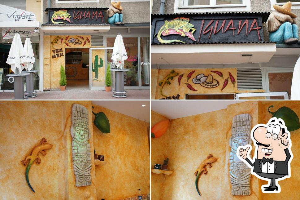 Iguana Tex Mex Snacks