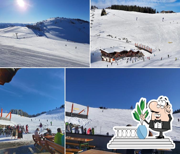 Skihütte Marchental