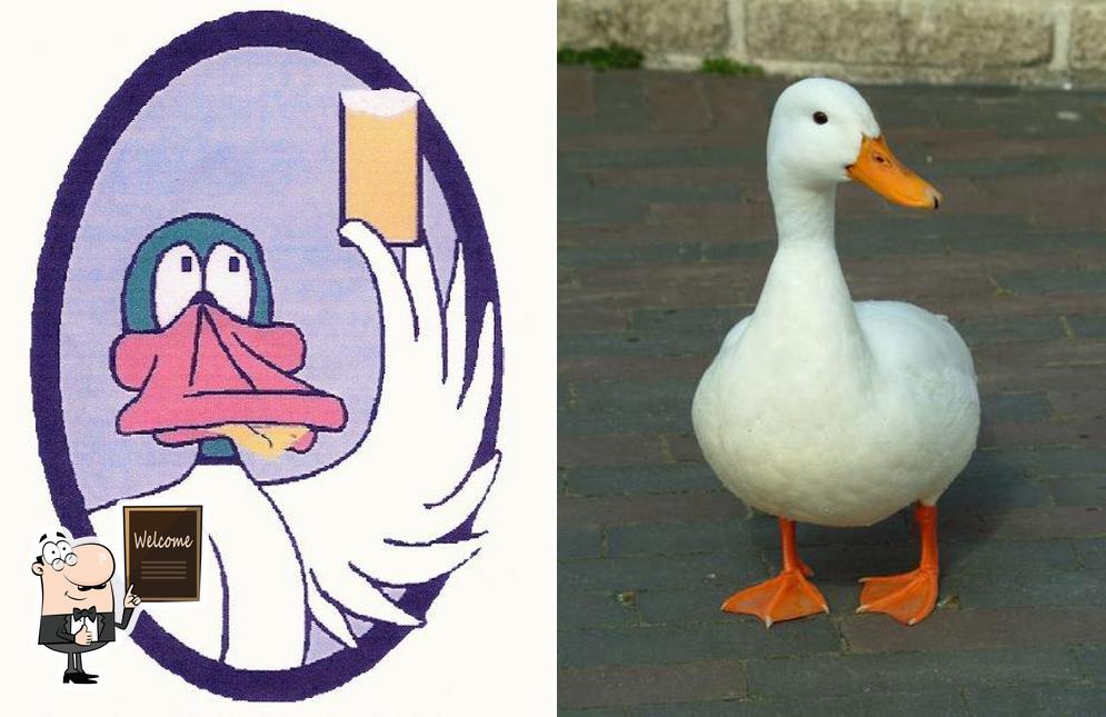 Thirsty Duck Pub and Grill