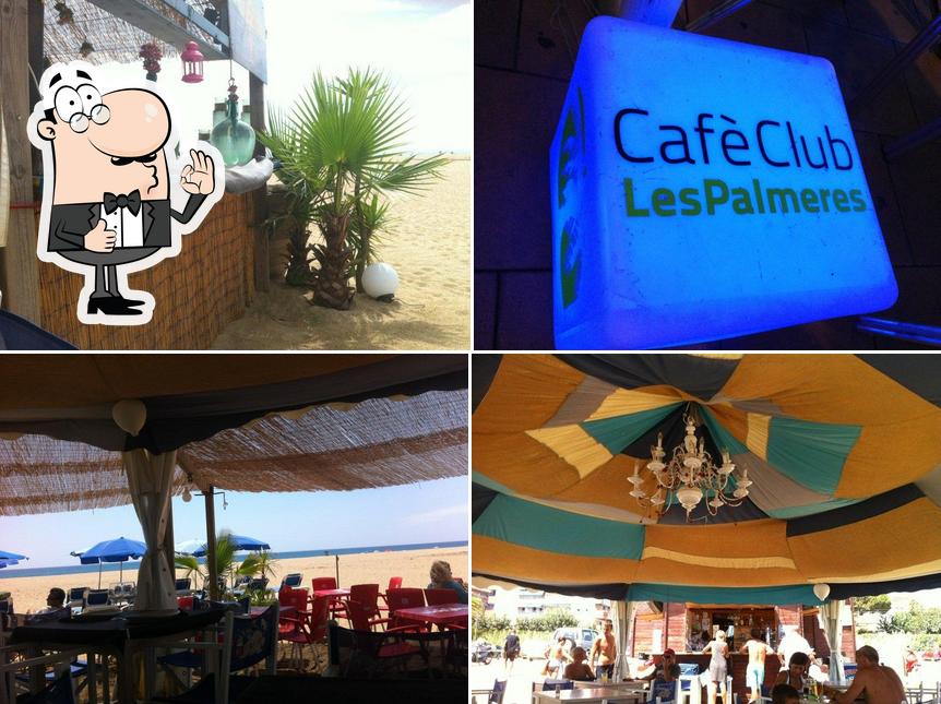 The Palm tree burger house