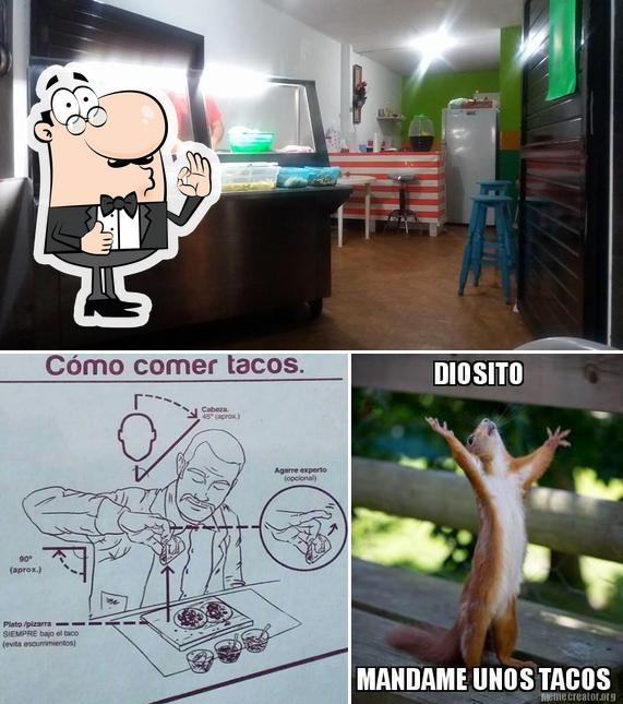 Taqueria D' Citrus