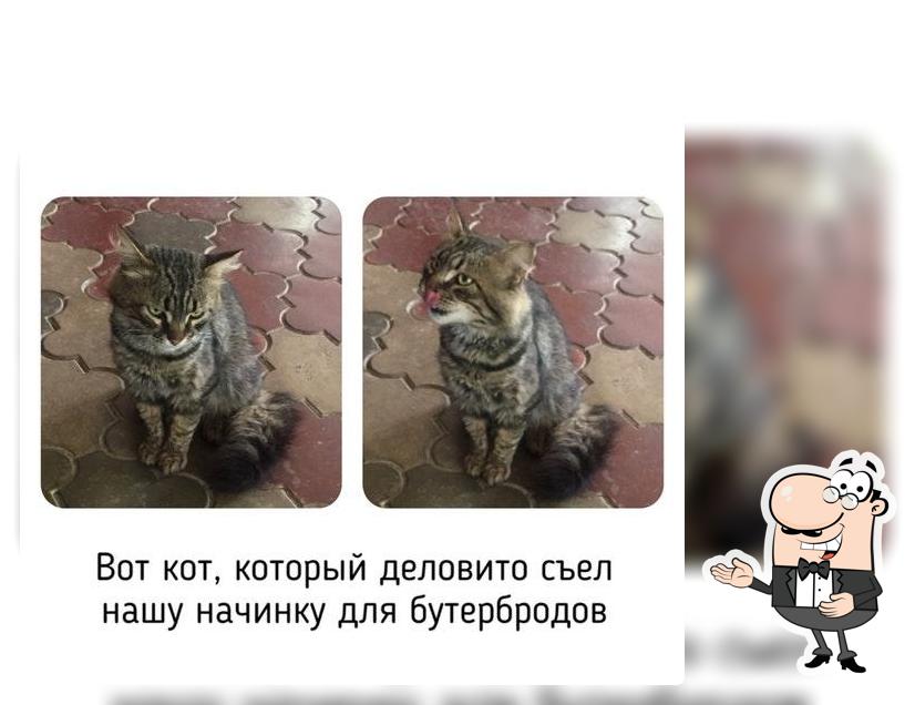 Кафе отеля "Муссон"