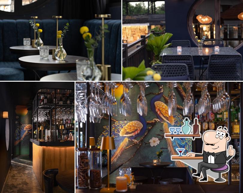 Pavo Lounge