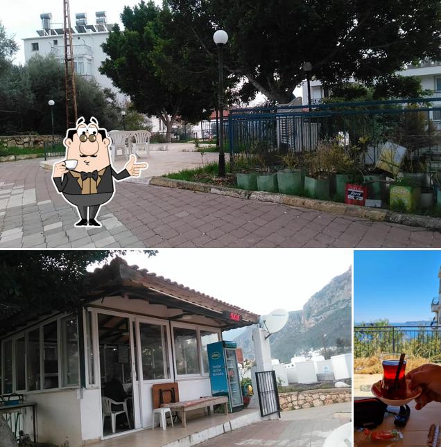 Alper Pehlivanın Yeri Köfte Kokoreç