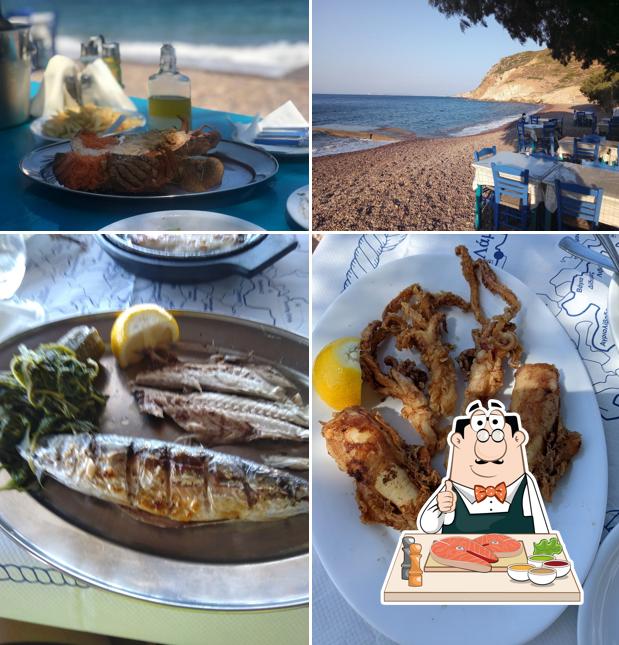 FISH TAVERN LAMPI