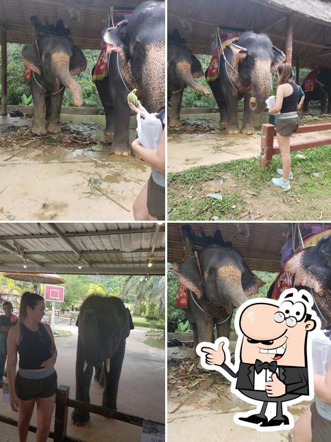 ร้านอาหารแสงตะวัน