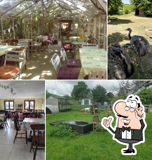 Badgers Hill Farm & Cidery