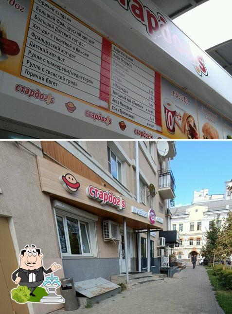 Стардог!s