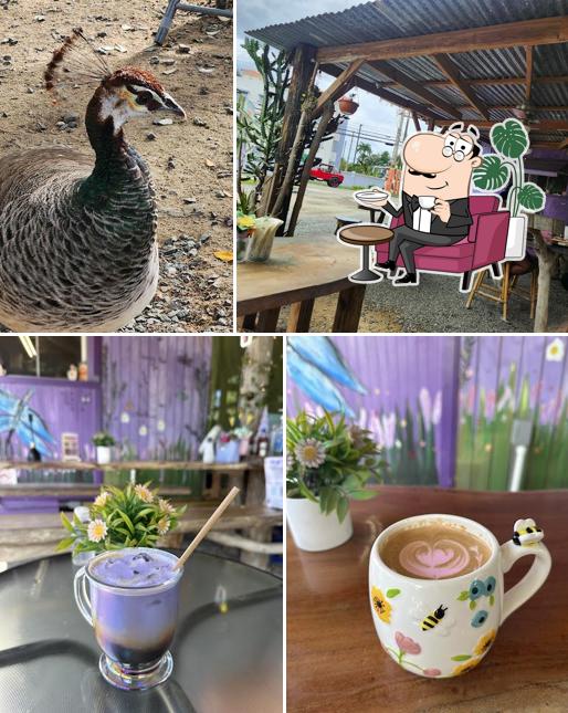 Solecito Coffee Shop