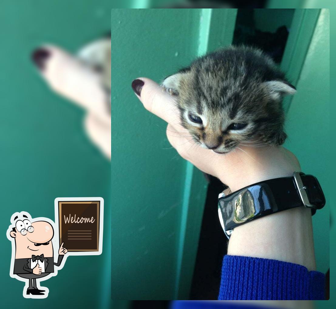 Кофехауз