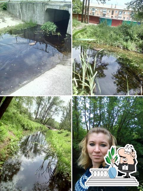 Она