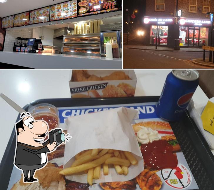 Chicken Land
