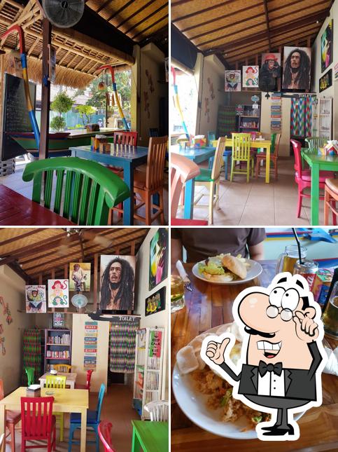 Warung Baby Monkeys