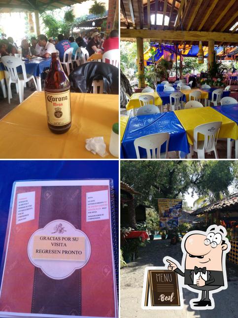 Palapas Los Sauces