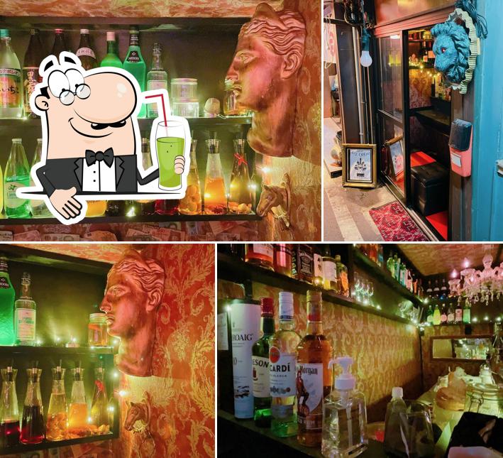 BAR & Gallery ハモニカトロス（ハモニカALBATROSS）