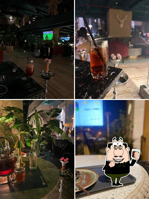Roa lounge