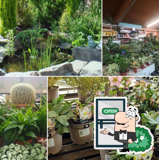Haslemere Garden Centre