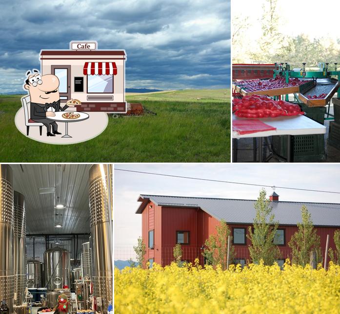 Big Mountain Ciderworks