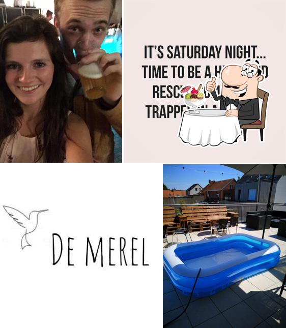 De Merel
