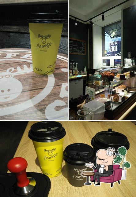 COFFEE MOOSE