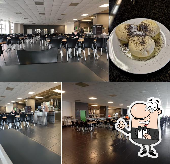 Gastrocentrum