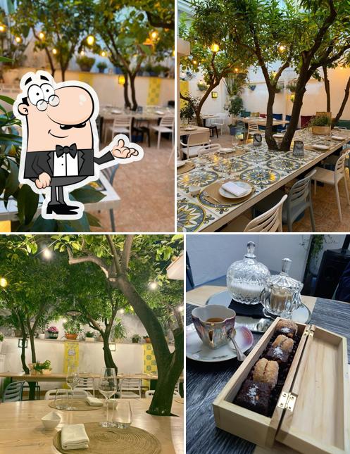 Habla Restaurant