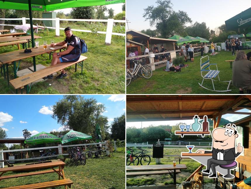 Občerstvení u koníka