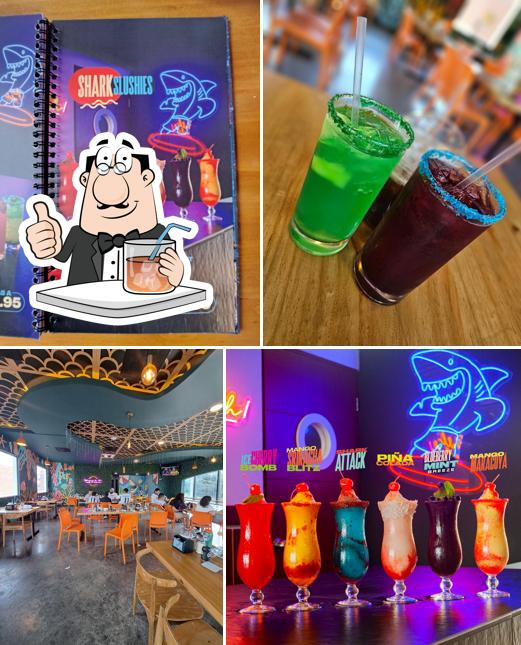Shark Bites - Millennium Plaza