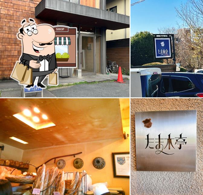 Tamakitei