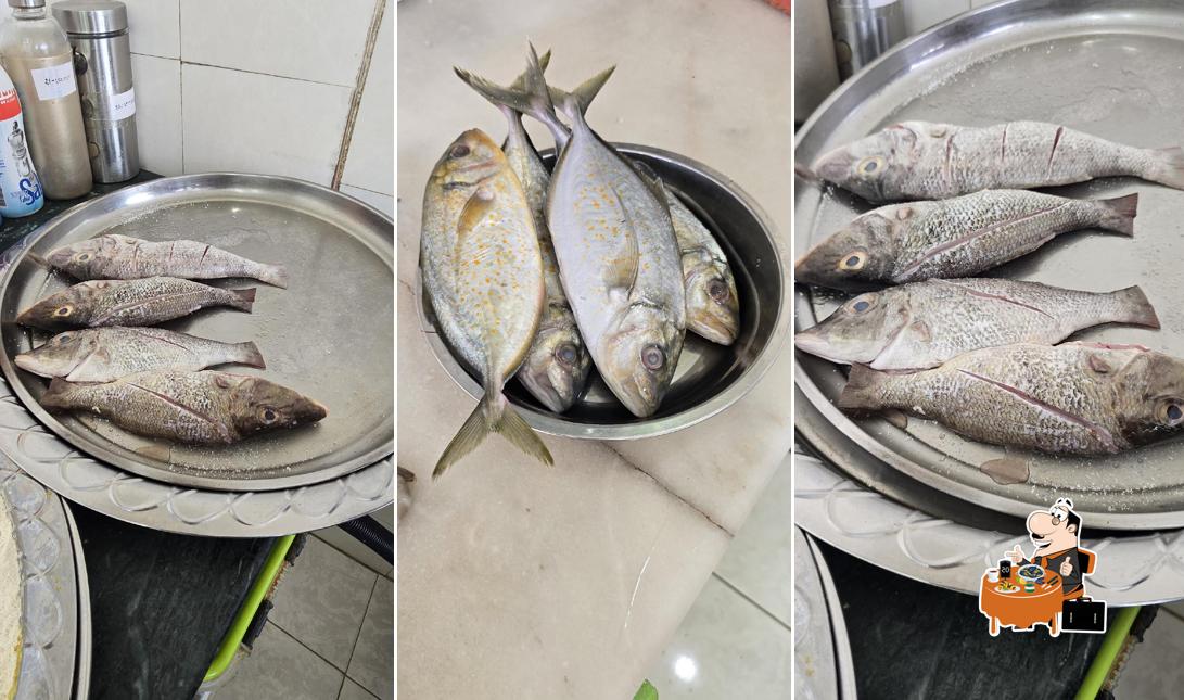 اسماك البحر الاحمر