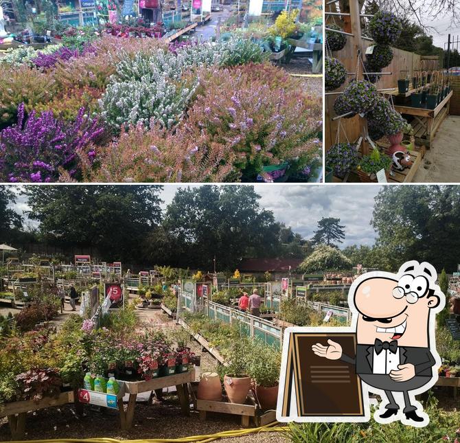 Upminster Garden Centre