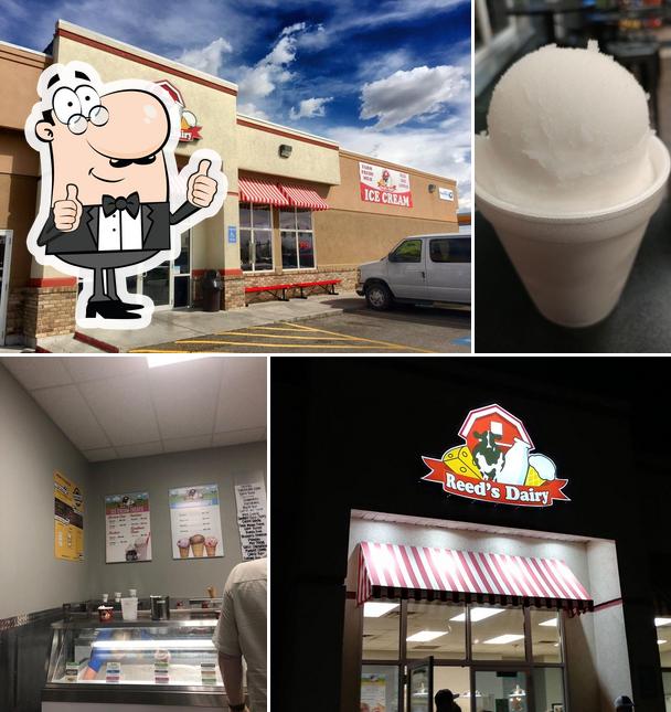 Reed's Dairy Ammon
