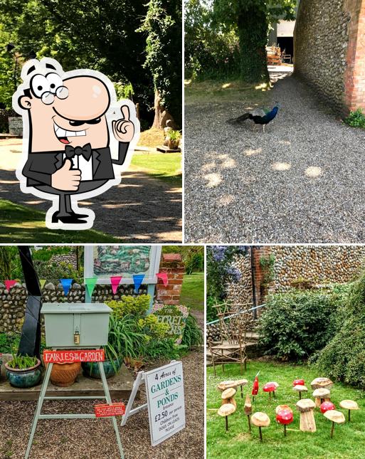 Alby Crafts & Gardens
