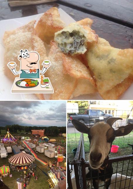 Ramsey County Fair