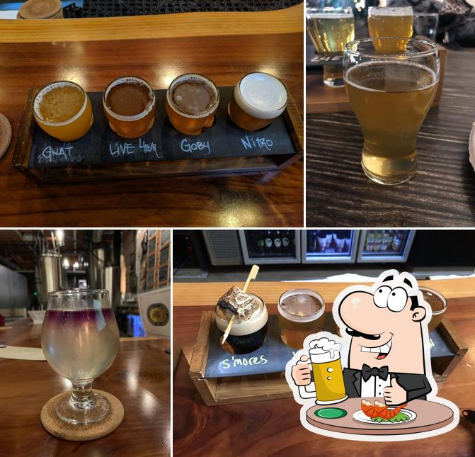 Night Lizard Brewing Company