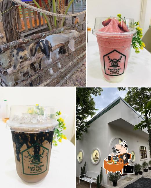 Famfarm & Cafe Satun