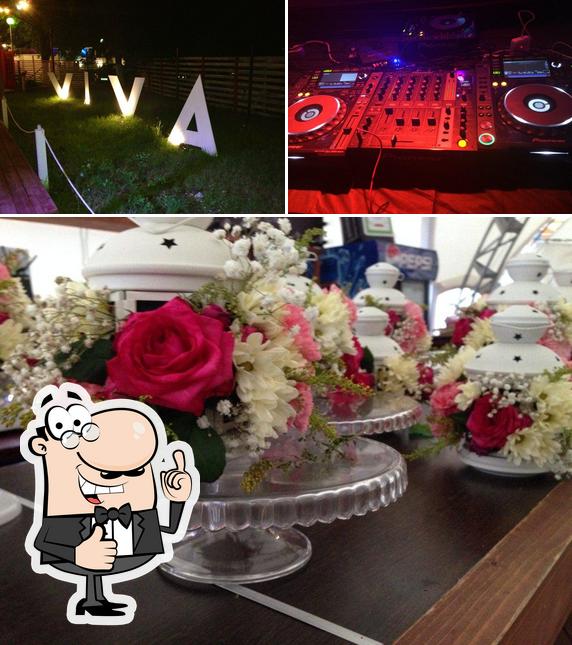 VIVA Nights