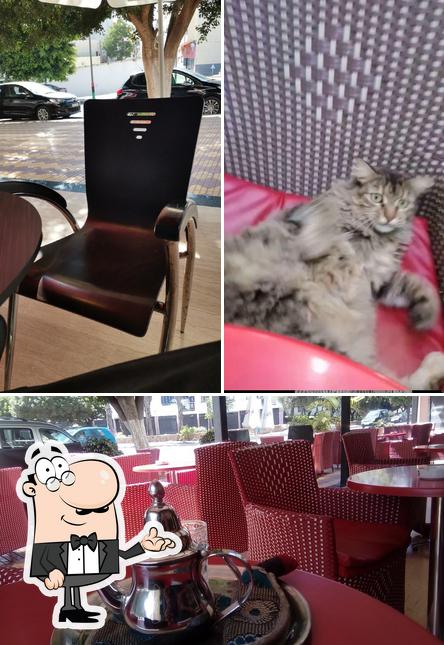 cafe dion