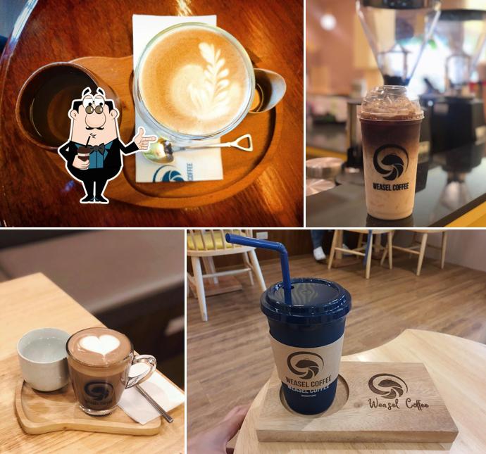 Weasel coffee กาแฟชะมด กระบี่