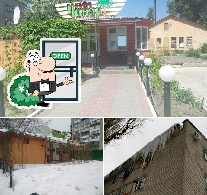 Чинар