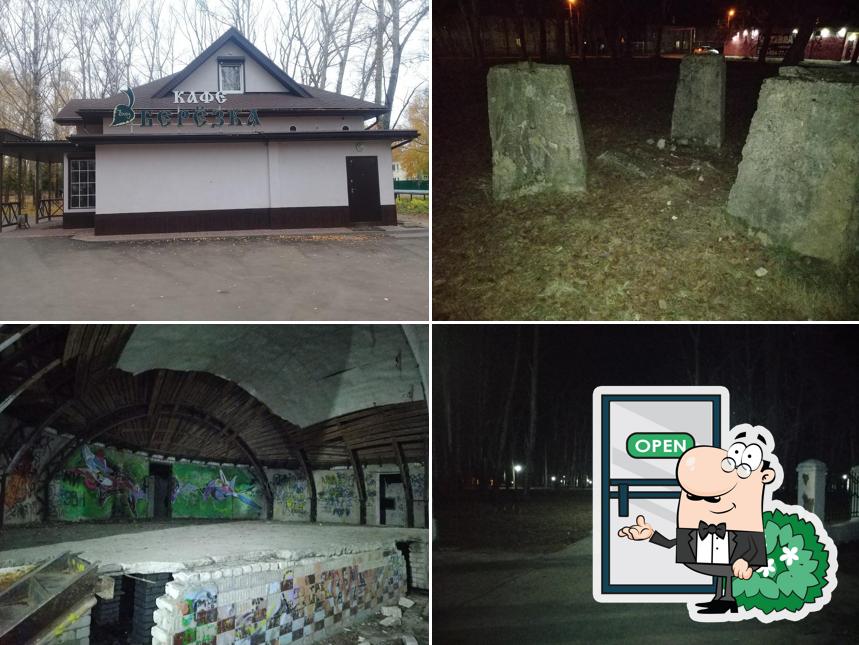 Берёзка