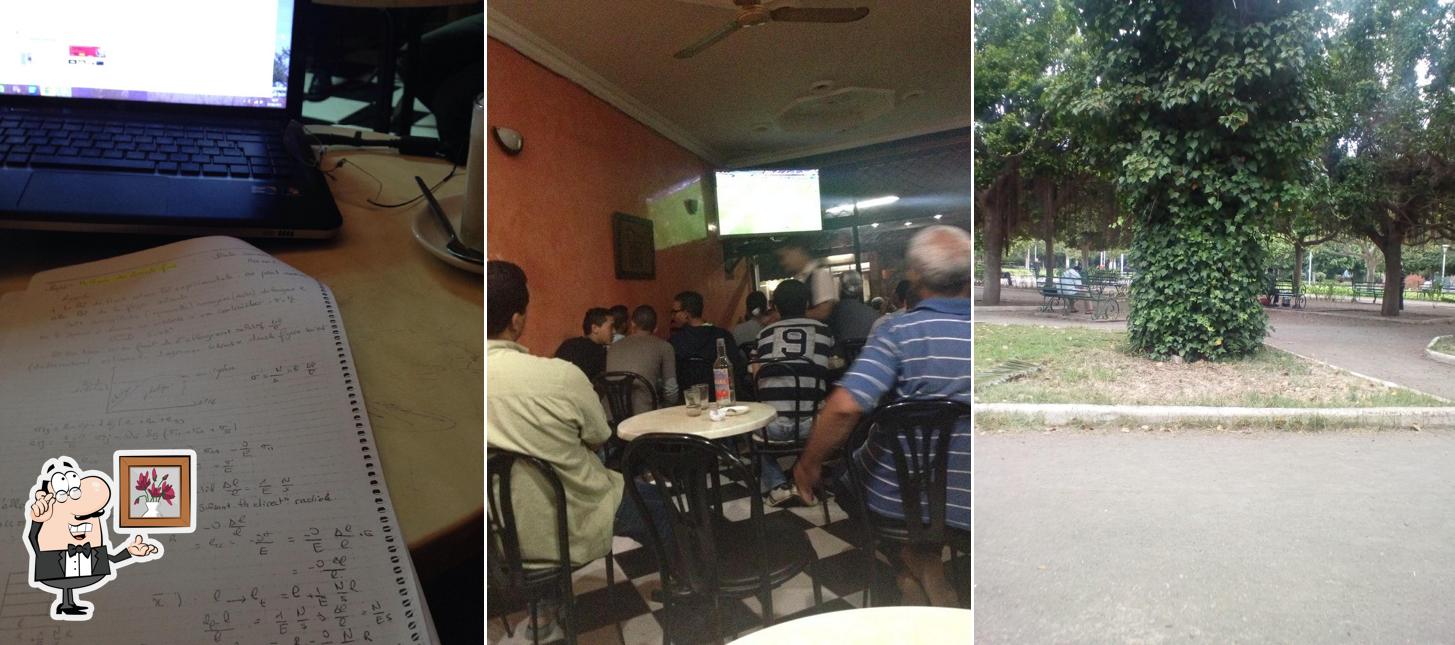 Café Dounia