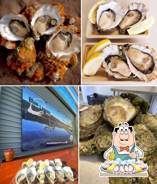 Blue Lagoon Oysters