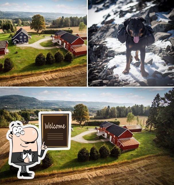 Minnesund hundepensjonat