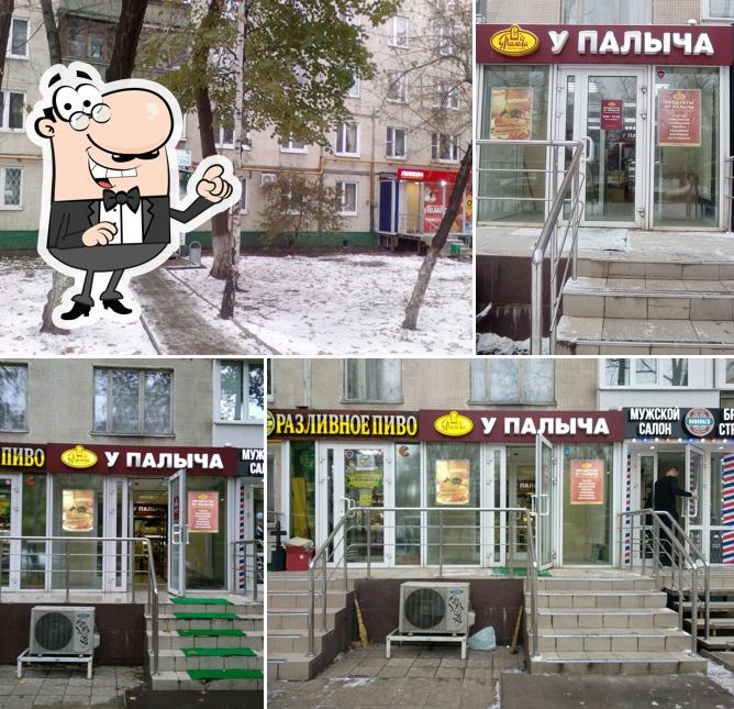 У Палыча